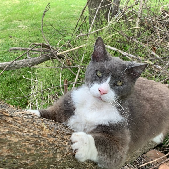 Meet your Posher, Terri lynn - Picture 3 of 16